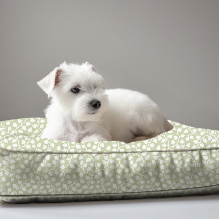 Wheaton Whaley Exclusive Dog Bed in Celedon Reverse