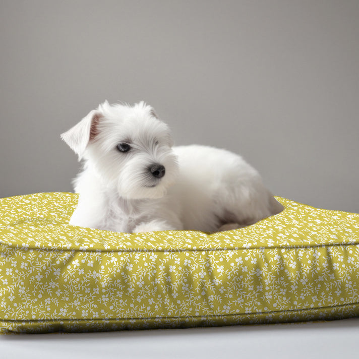 Wheaton Whaley Exclusive Dog Bed