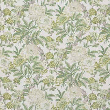 Summer Peony in Green by GP&J Baker