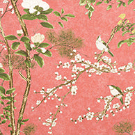 Katsura in Coral by Thibaut