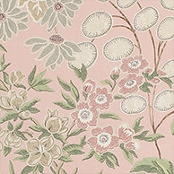 Meadow in Blush by Thibaut