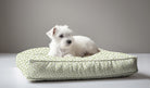 Wheaton Whaley Exclusive Dog Bed in Celedon Reverse