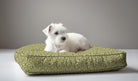 green floral dog bed
