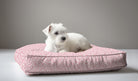 Wheaton Whaley Exclusive Dog Bed