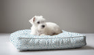 Wheaton Whaley Exclusive Dog Bed